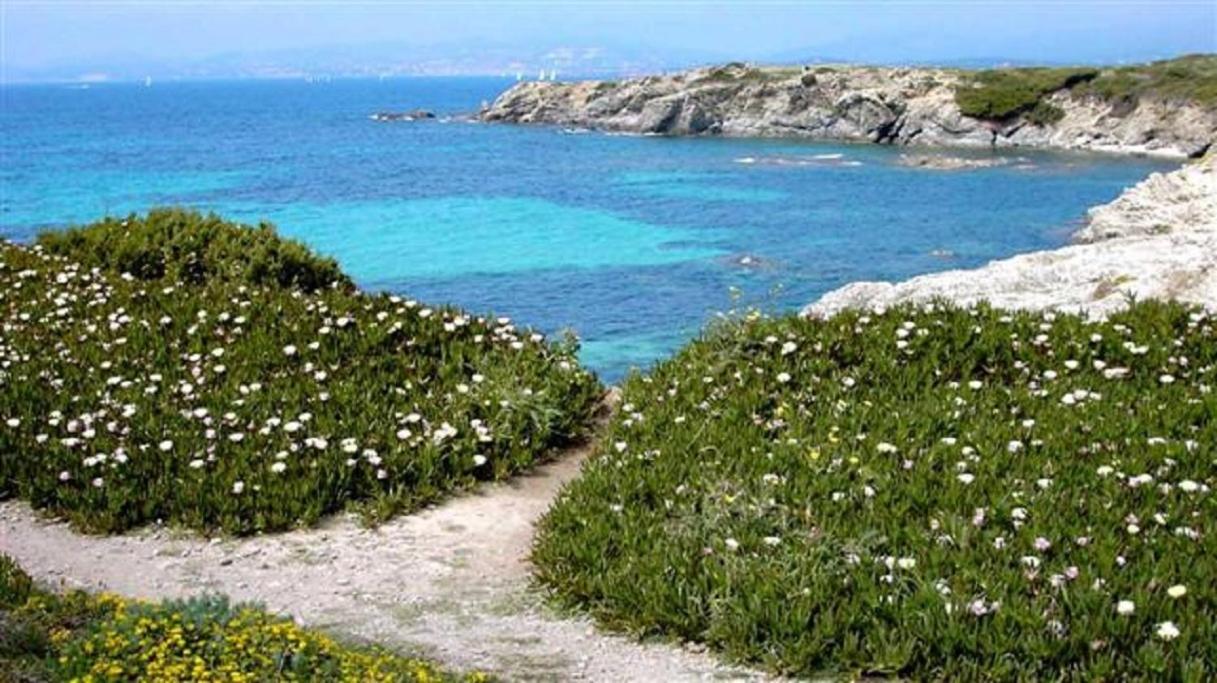 Villa Spacieuse, Climatisation, Piscine, Jardin Paysage, Proche Mer Saint-Cyr-sur-Mer Exterior photo